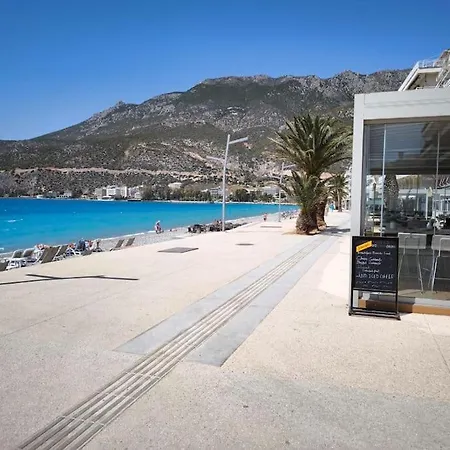 50 Meters From The Apartment *